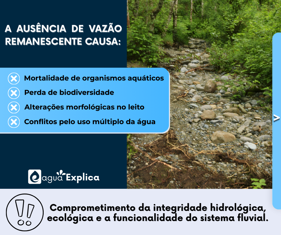 260224 VazaoEco-V0_c.png