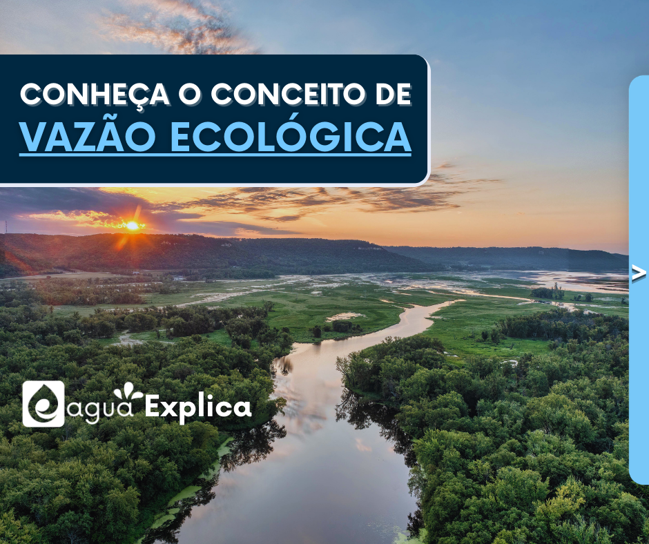 260224 VazaoEco-V0_a.png
